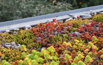 the cost of Biddulph green roof installation