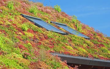 Biddulph living roof systems