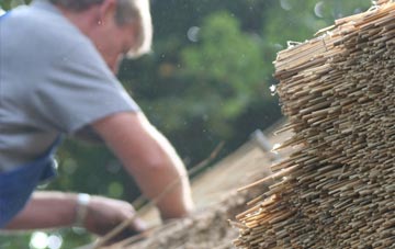 professional Biddulph thatchers